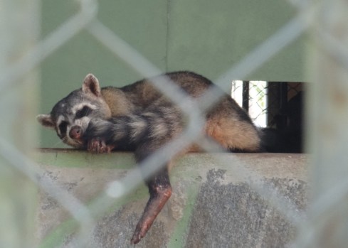 Parque da Cidade - Aracaju.SE