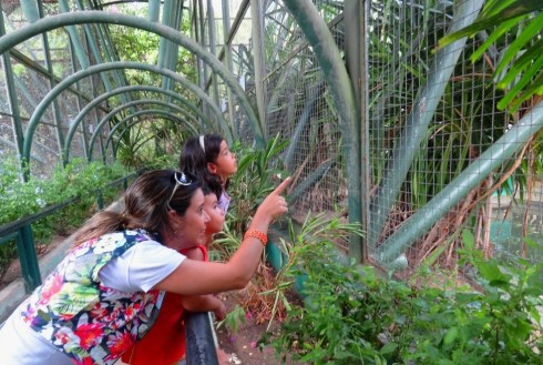 Zoológico - Parque da Cidade - Aracaju