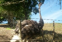 Zoo - Boa Luz (arquivo pessoal da Luana)