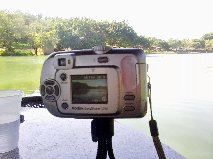 Boa Luz por Luana Silva