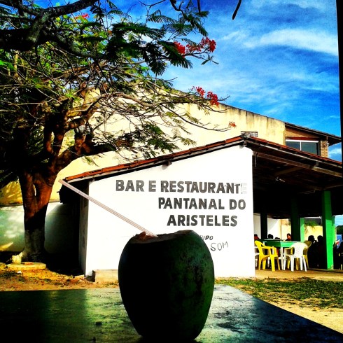 Pantanal do Aristoteles