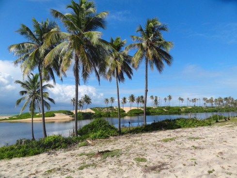 ???????????????????????????????