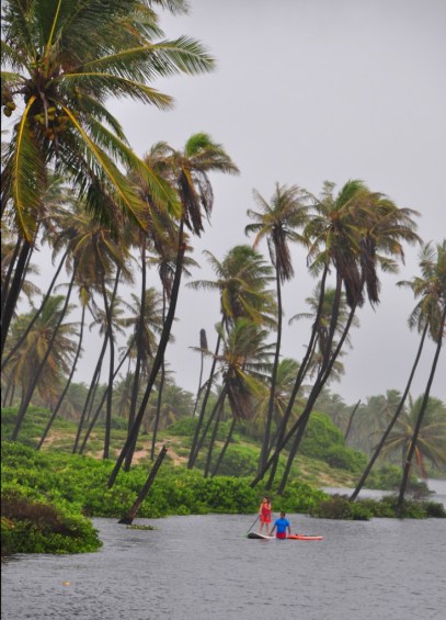 SUP - Mamucabo - Baixio - Bahia